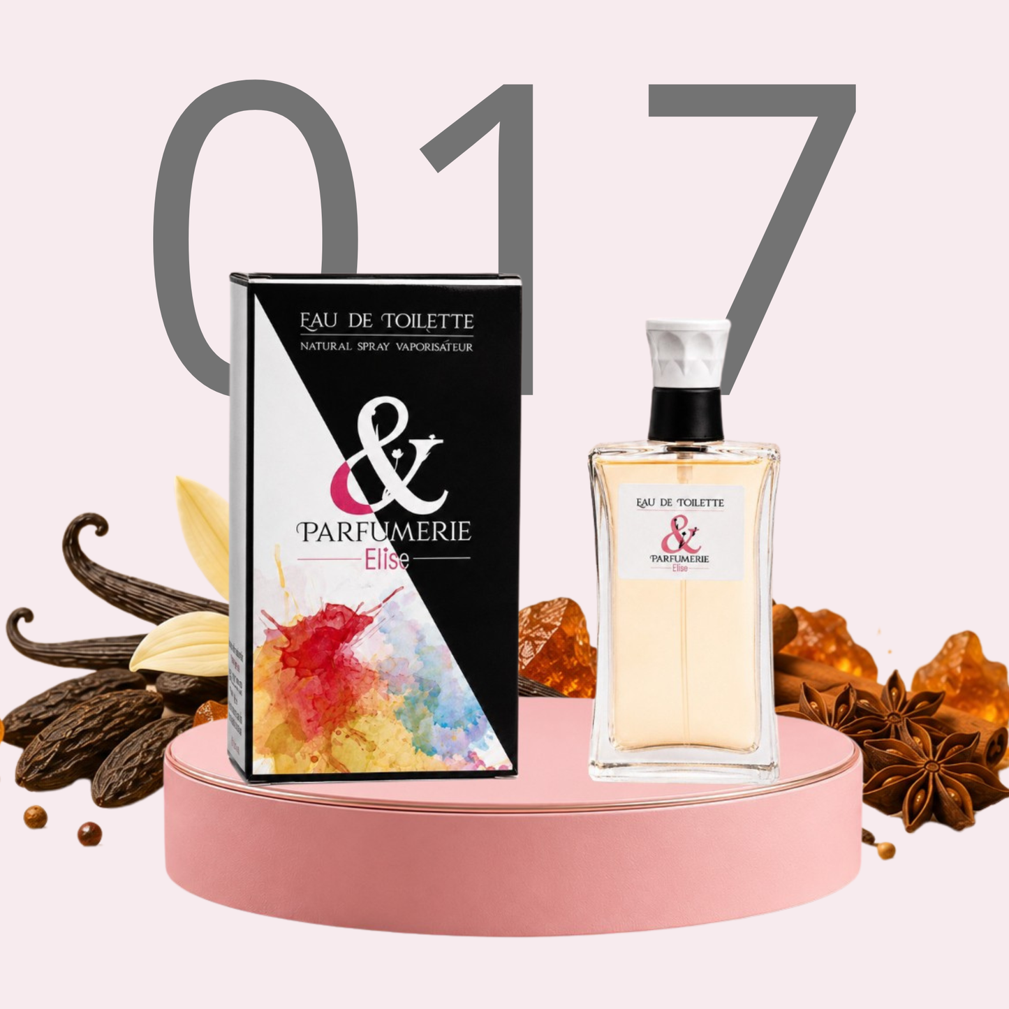 PE N 17 - Générique de Coco