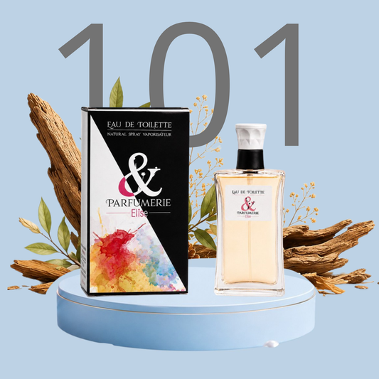 PE N 101 - Générique de Burberry for men pour homme
