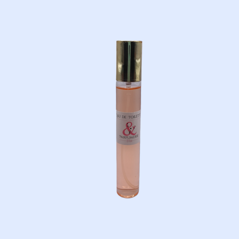 Coffret 43 - Un parfum générique de Acqua di gio 100 ml + son mini générique 33ml