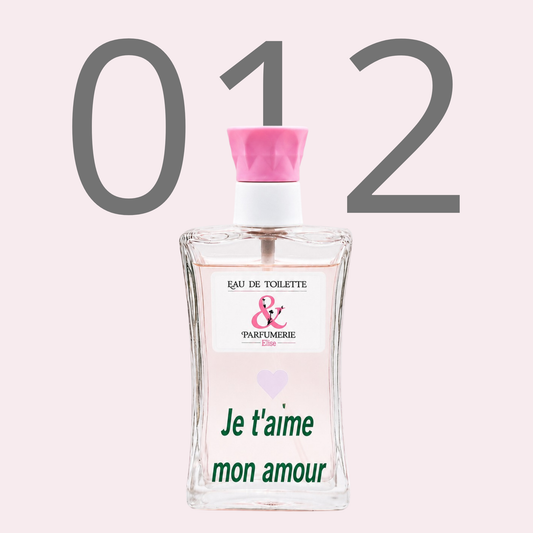 PE N 12 - Générique de Noa personnalisé "Je t'aime mon amour"