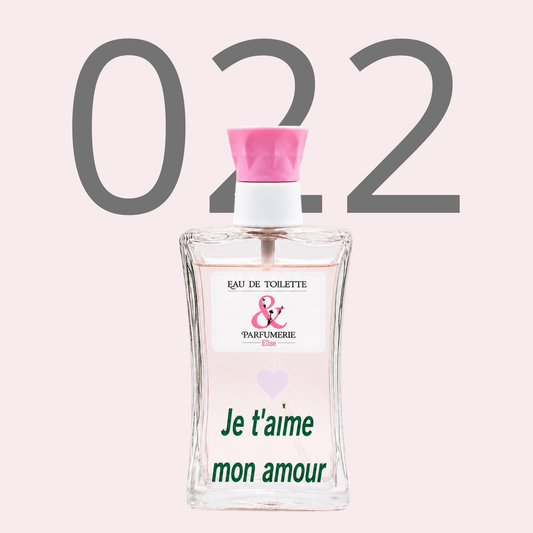 PE N 22 - Générique de Allure personnalisé "Je t'aime mon amour"