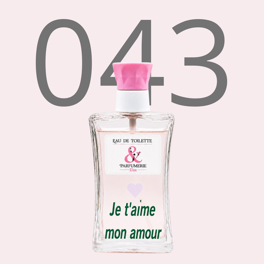 PE N 43 - Générique de Ma vie personnalisé Je t'aime mon amour*