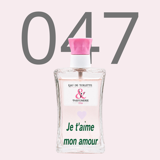 PE N 47- Générique de Fame personnalisé "Je t'aime mon amour"