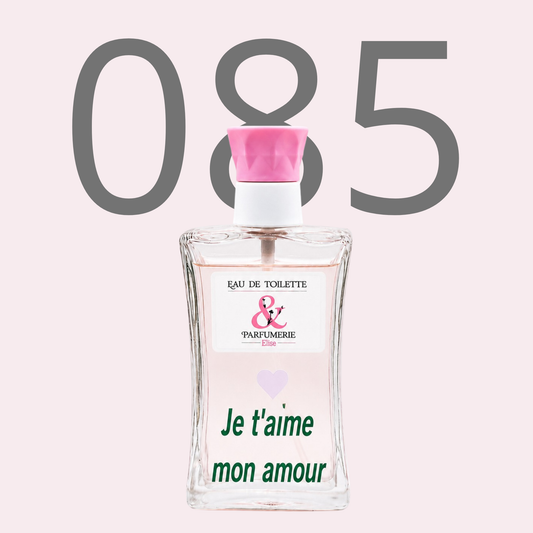 PE N 85 - Générique de Alien personnalisé "Je t'aime mon amour"