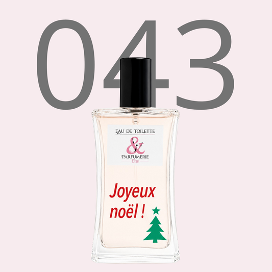PE N 43 - Générique de Ma vie personnalisé Joyeux Noel