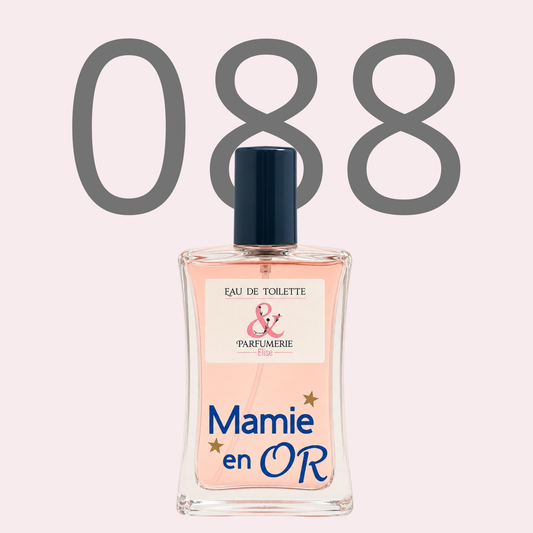 PE N 88 - Générique de Eau de Rochas pour femme personnalisé Mamie en or