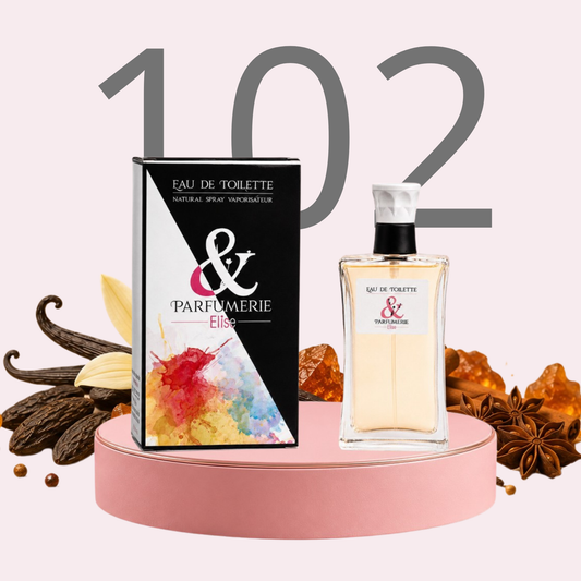PE N 102 - Générique de Angel