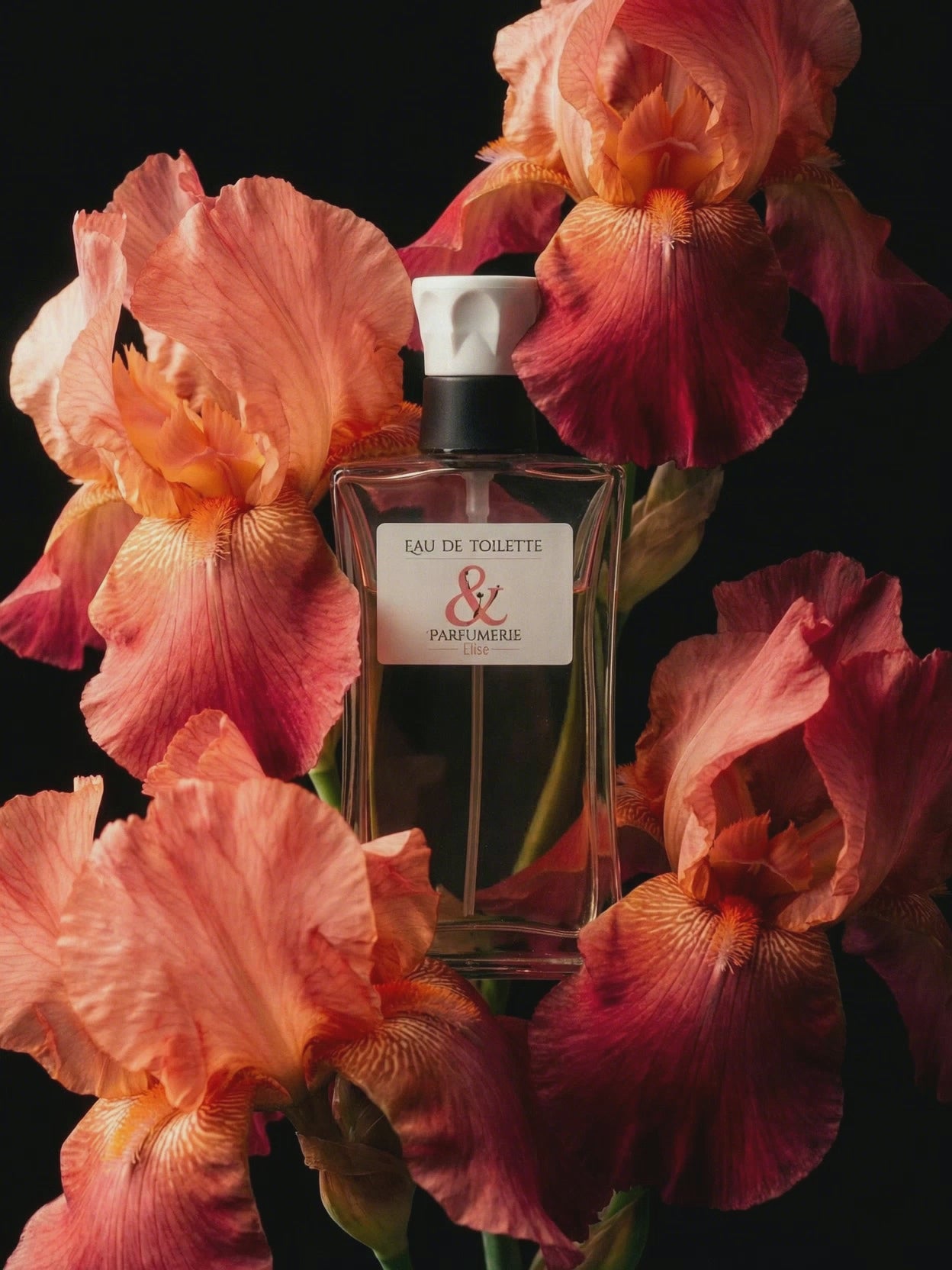 Charger la vidéo : 