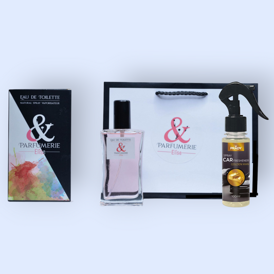 PE Coffret 18 - Un parfum générique de One million 100 ml + son spray voiture