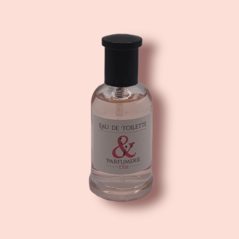 Coffret 46 - Un parfum générique de N5 + son mini générique